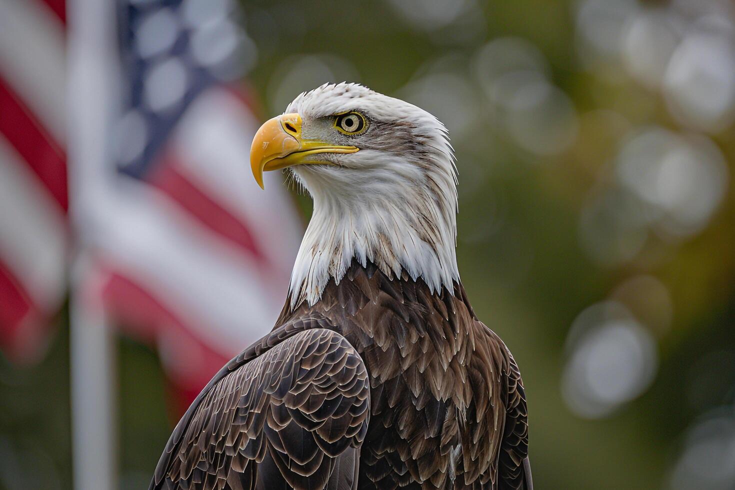 American Bald Eagle with American Flag in the Background Symbolizing National Pride and Strength photo