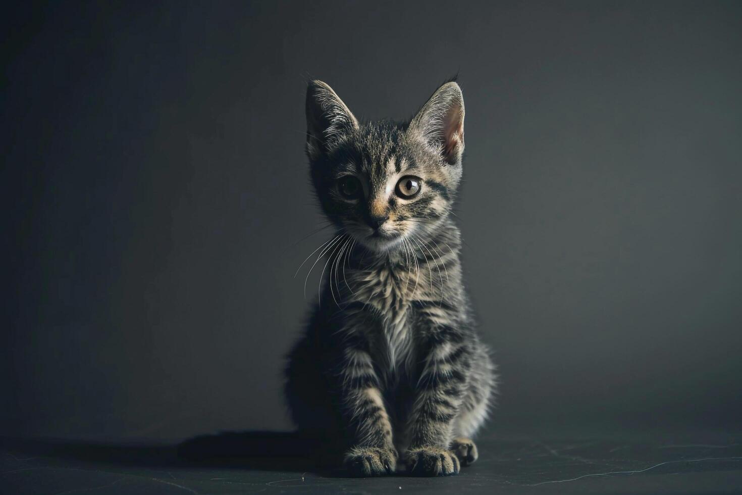 Fun Cats with  for a Charming photo