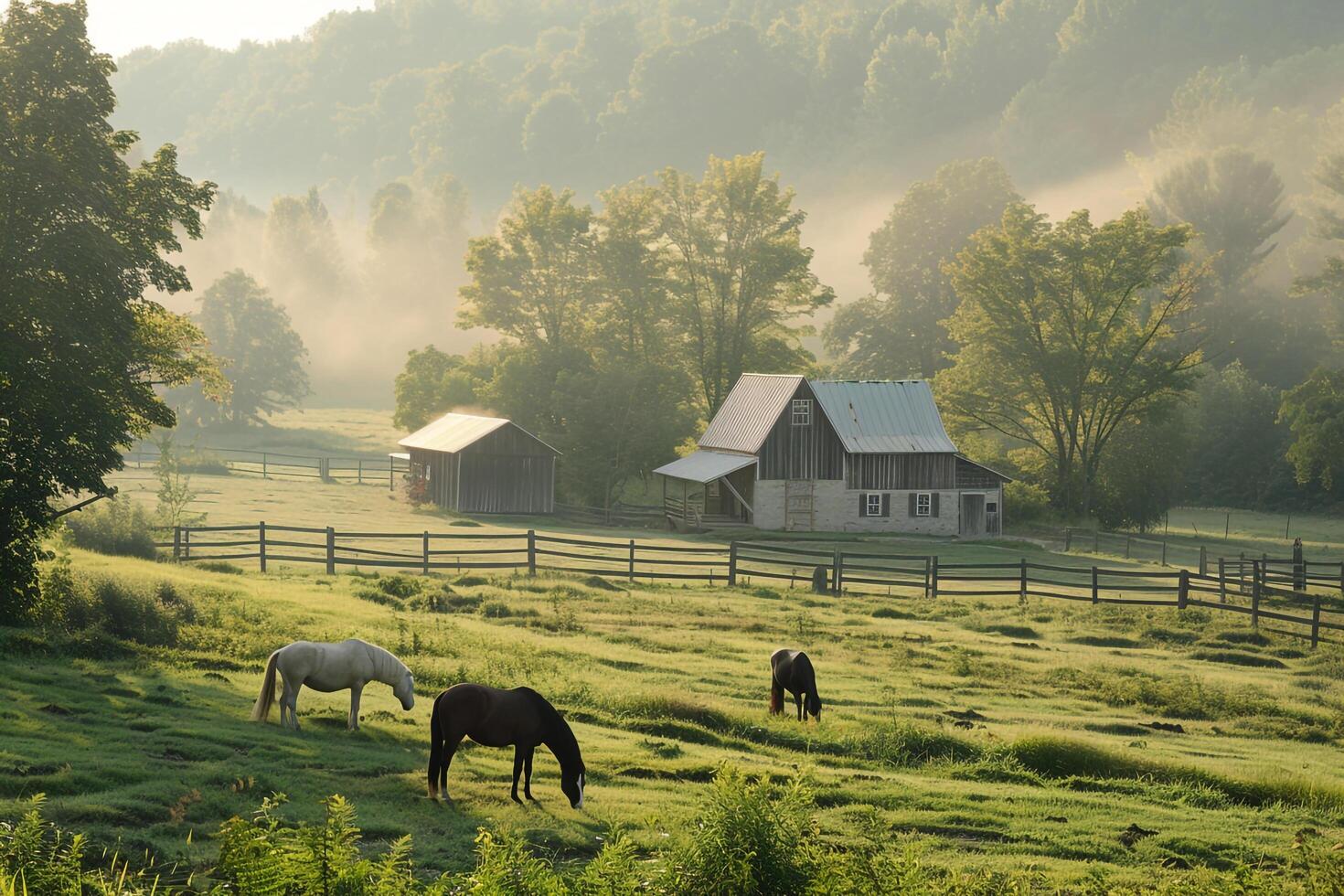 Peaceful Farmstead with Grazing Horses in Countryside photo