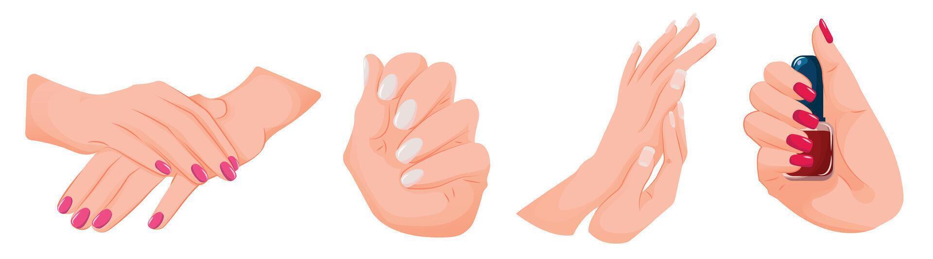 Nails beauty. Set pf hands with manicure, nude, red and pink polished nails. Beauty concept, nail polish, nail design. Illustration for beauty salon isolated on white background. vector