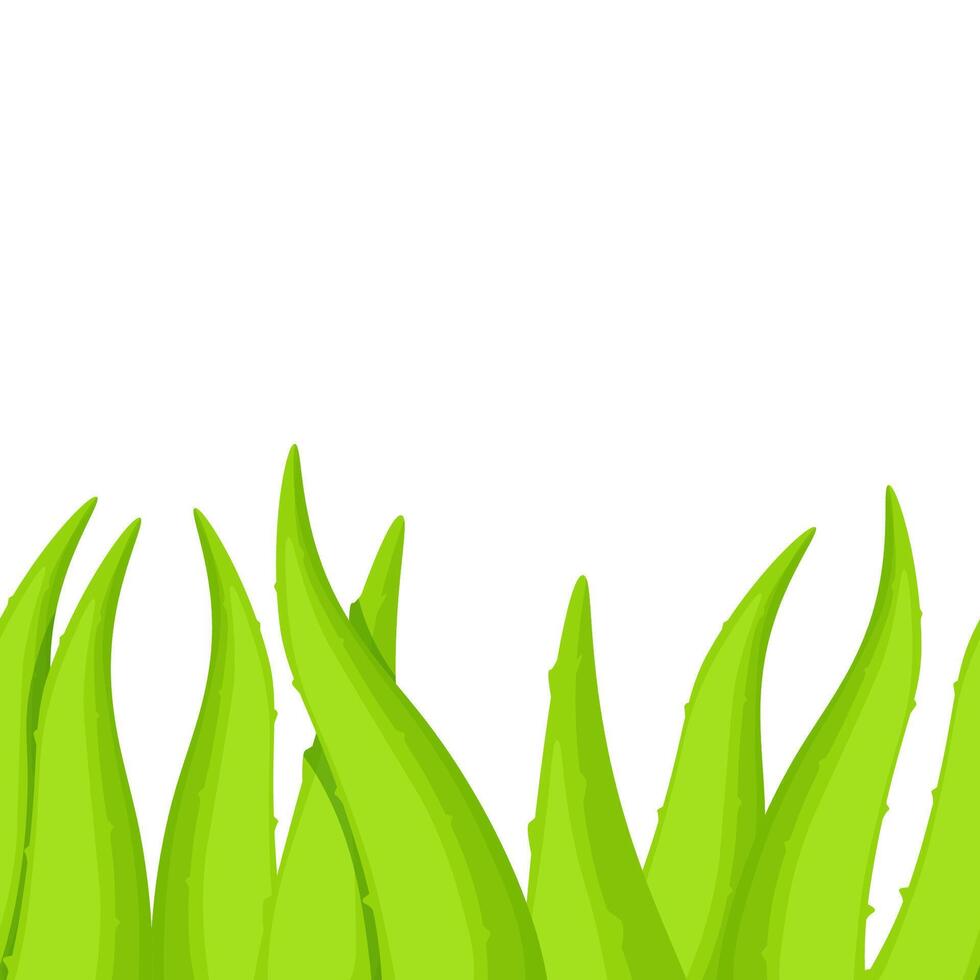 Seamless border of green aloe vera leaves vector