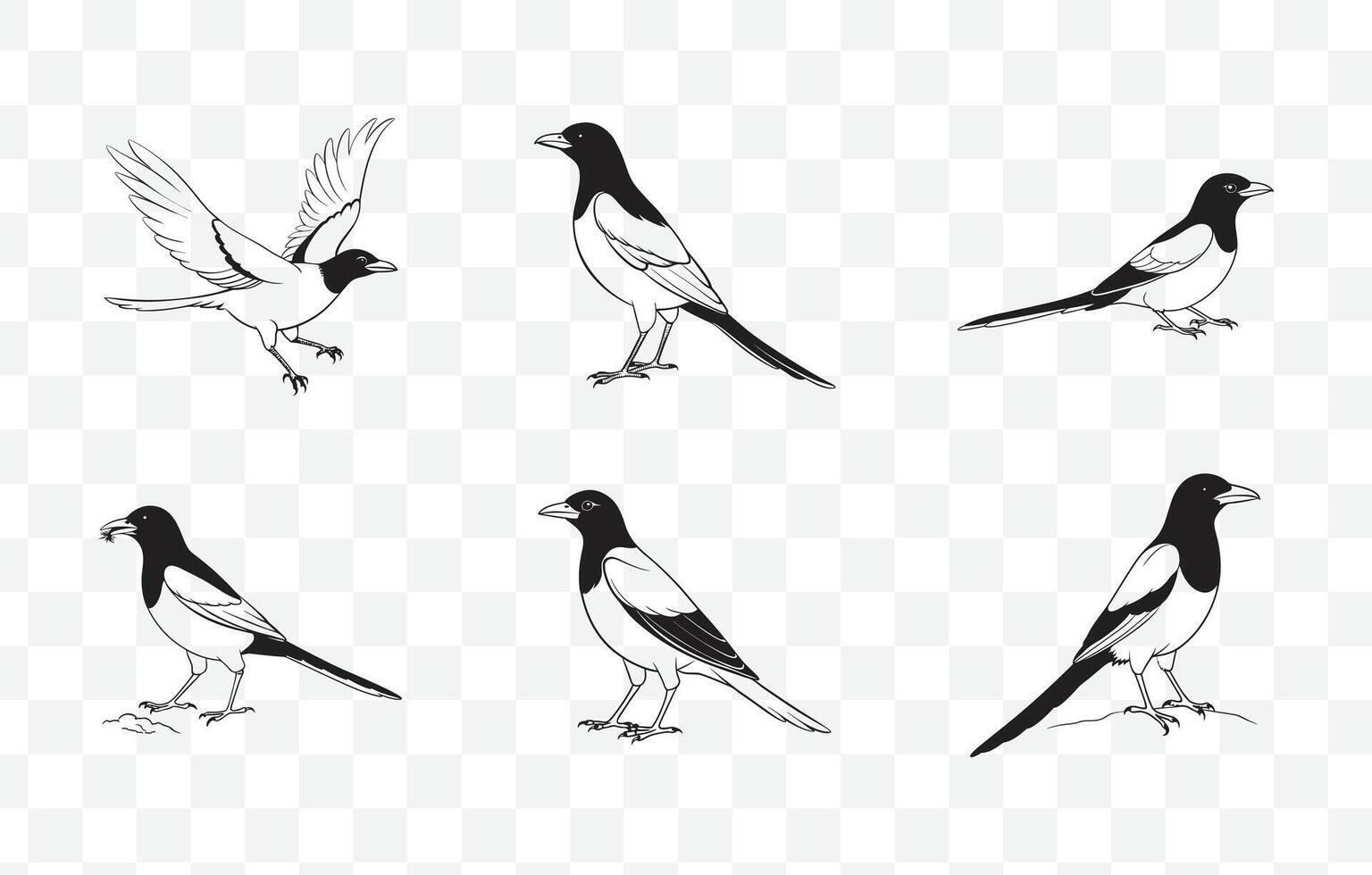 Print Comprehensive Magpie Line Art Set for Detailed and Elegant Bird Illustrations vector