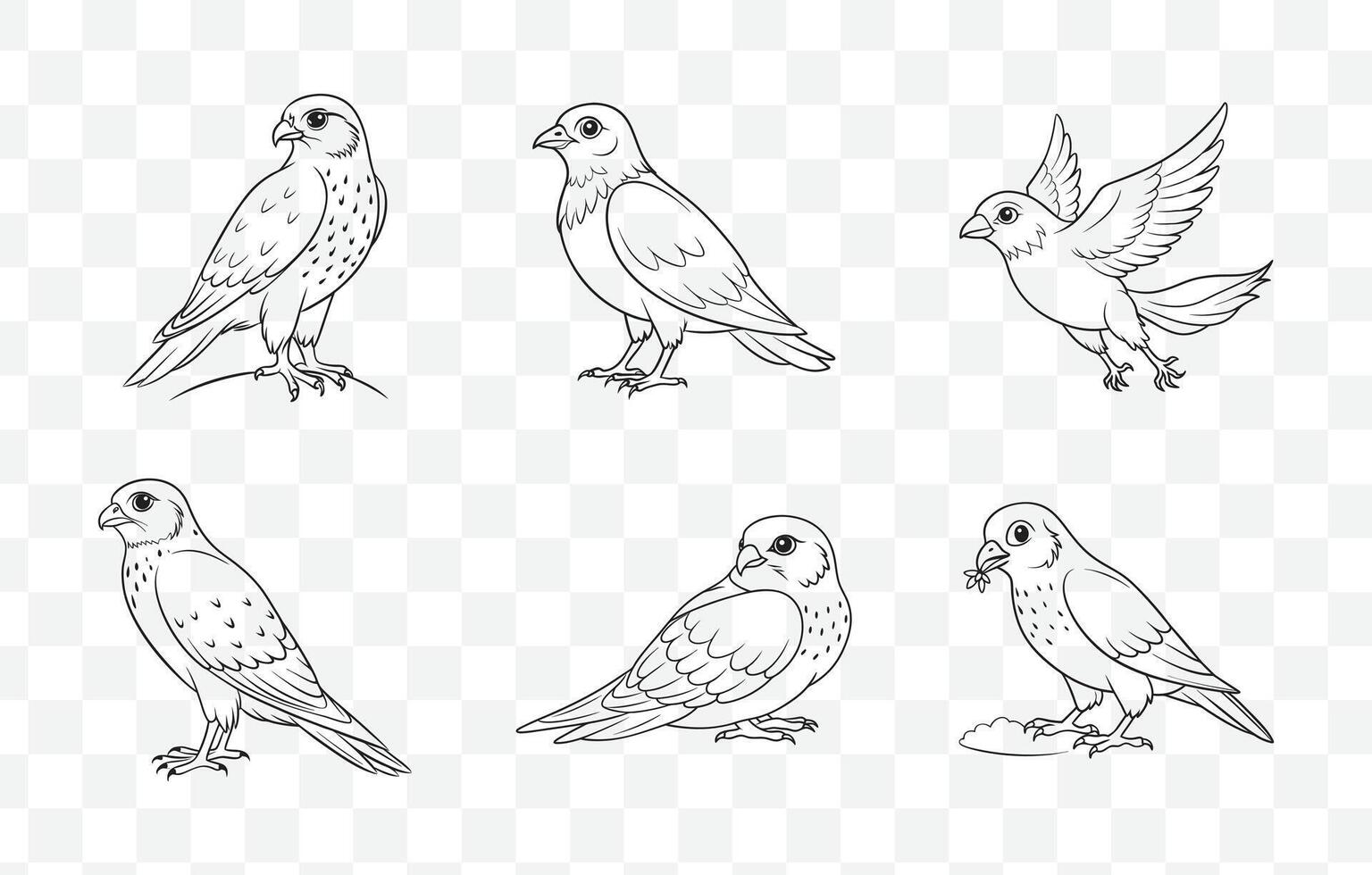 Print Comprehensive Merlin Line Art Set Detailed Illustrations of Merlin Birds Perfect for Artistic and Design Projects vector