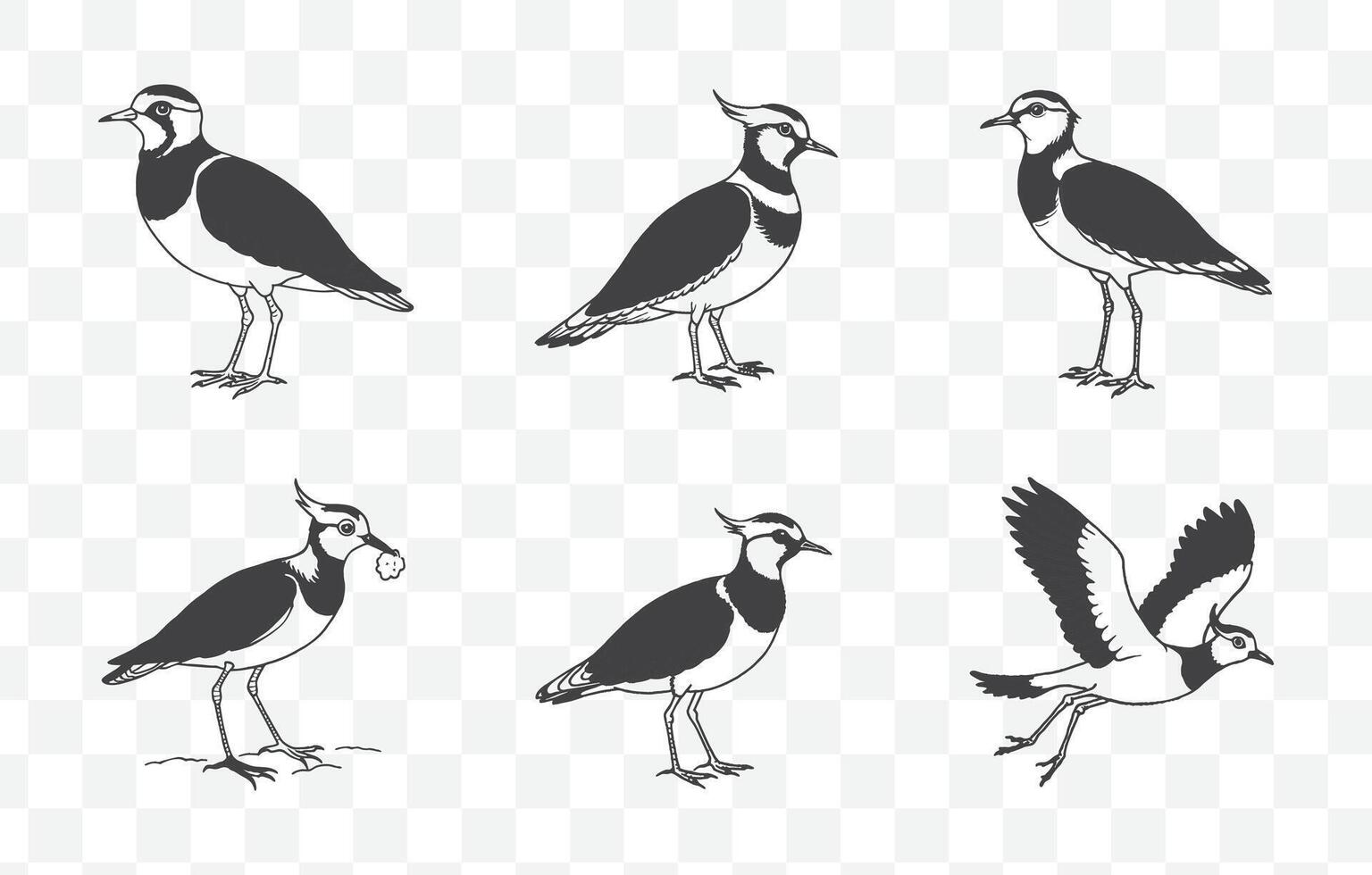 Print Comprehensive Lapwing Line Art Set for Detailed and Versatile Designs Up to 100 Unique Illustrations vector