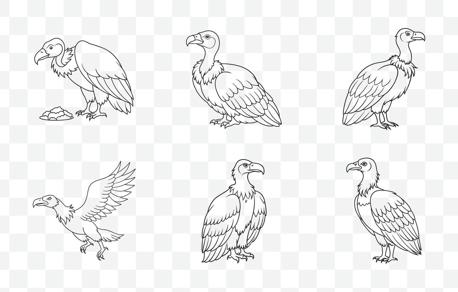 Print Elegant Vulture Line Art Set Perfect for Detailed Illustrations and Artistic Projects vector