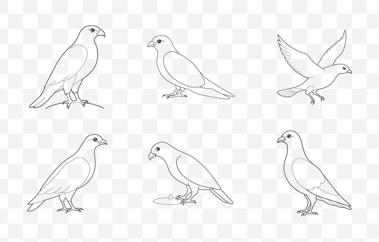 Print Sparrowhawk Line Art Set Elegant Illustrations and Designs for Graphic Art and Print Projects vector