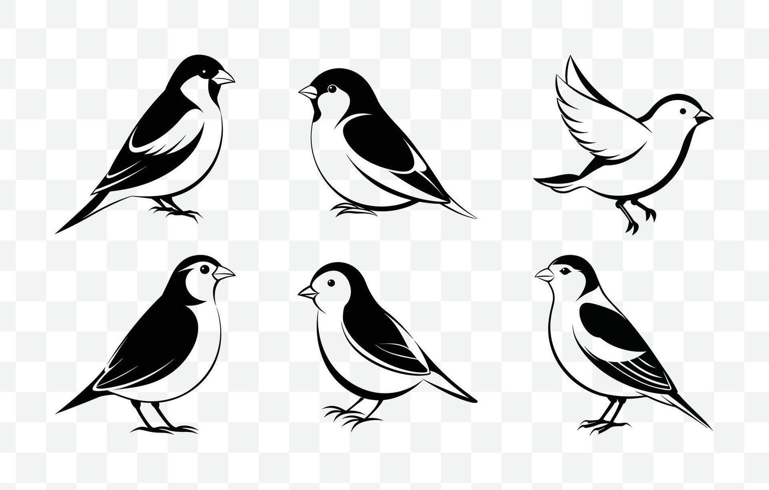 Print Finch Line Art Set Elegant and Detailed Illustrations for Graphic Design and Creative Projects vector