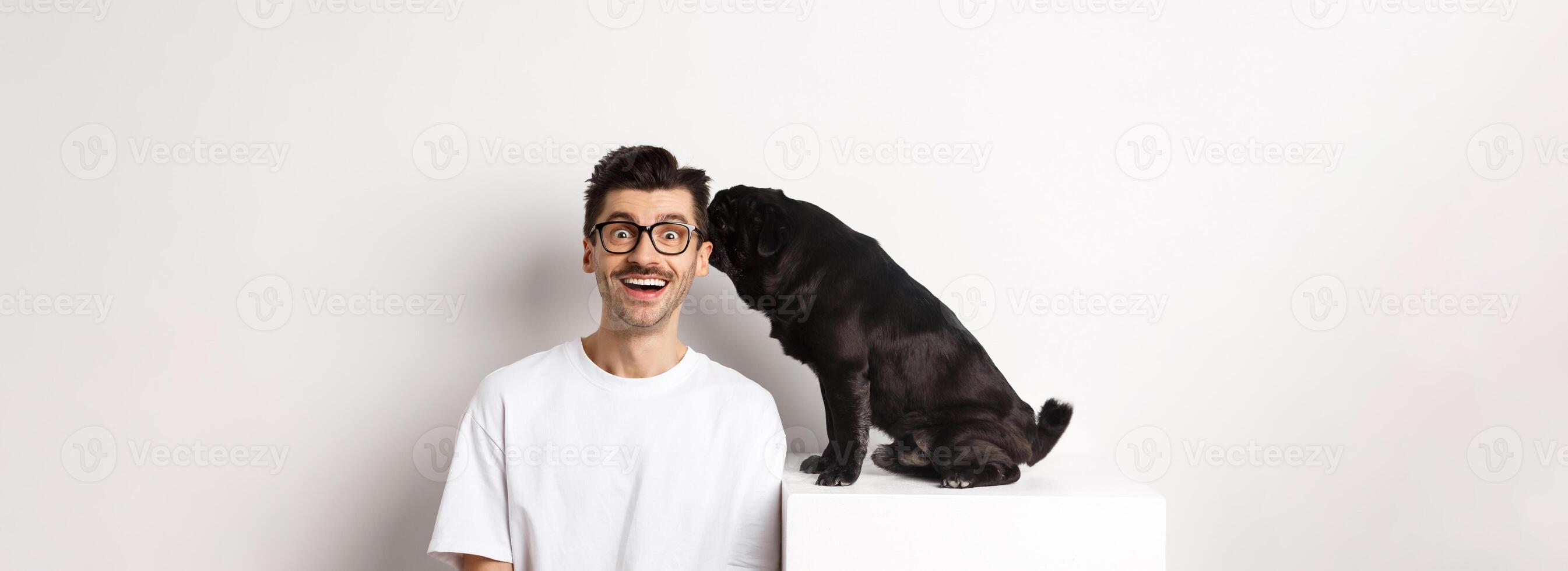 Image of cute black pug dog whispering at owner ear, man looking amazed and smiling, standing over white background photo