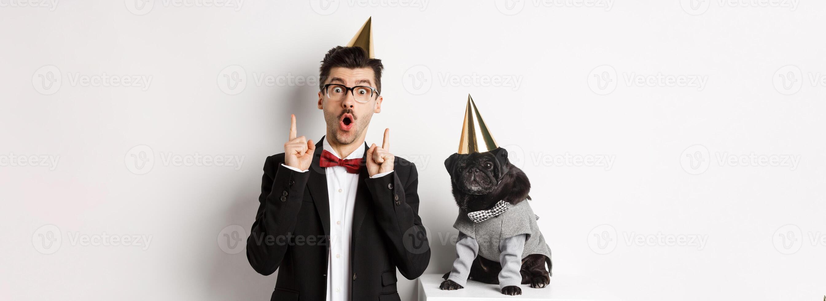 Cute black pug dog wearing party cone and standing near happy owner, man pointing fingers up at copy space, celebrating birthday, white background photo
