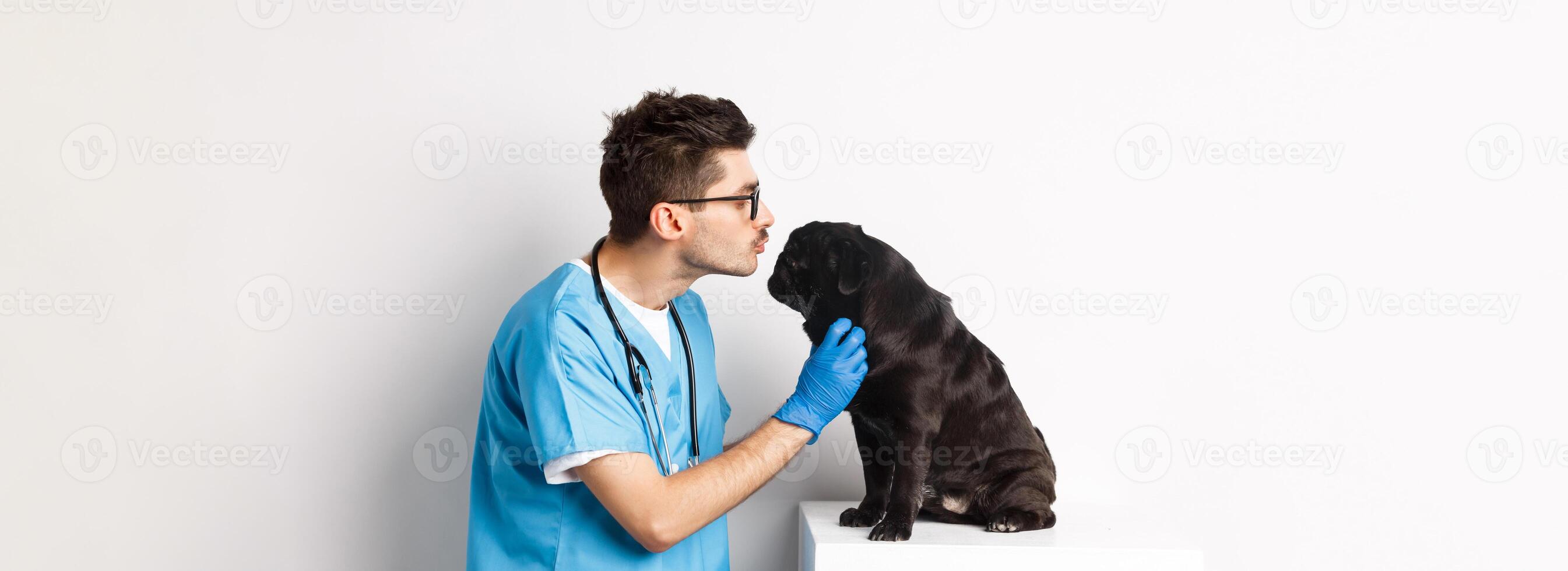 Handsome doctor veterinarian examining black pug, vet kissing and petting cute dog, white background photo