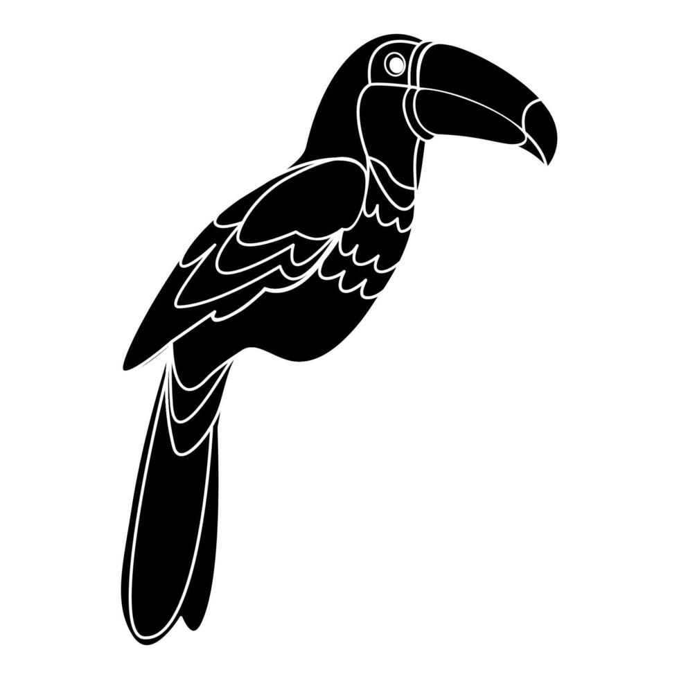 Toucan tropical bird in doodle style vector