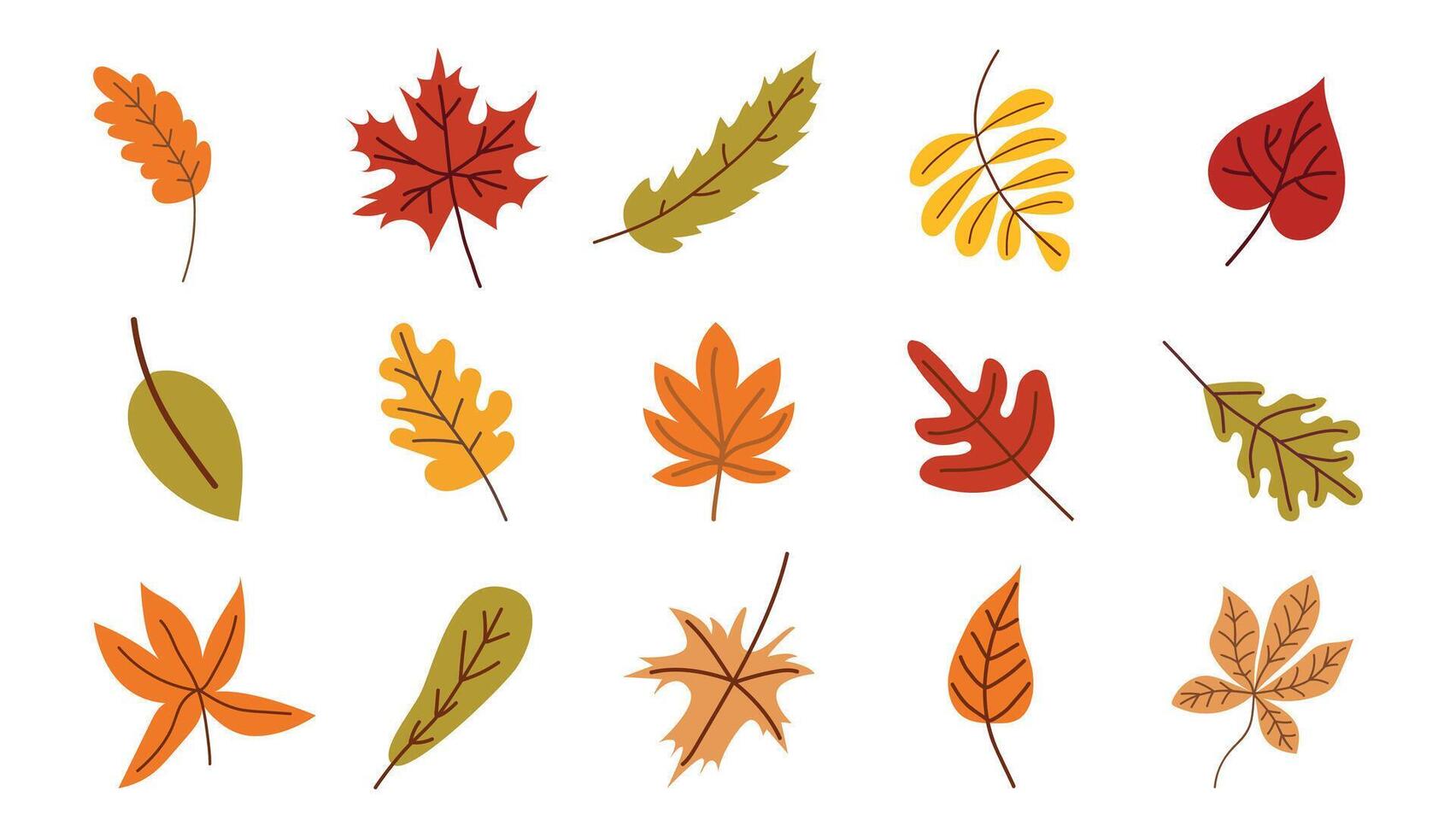 Set of fall leaves. Autumn season. collection of leaves. White isolated background. Elements, icons for scrapbooking. vector