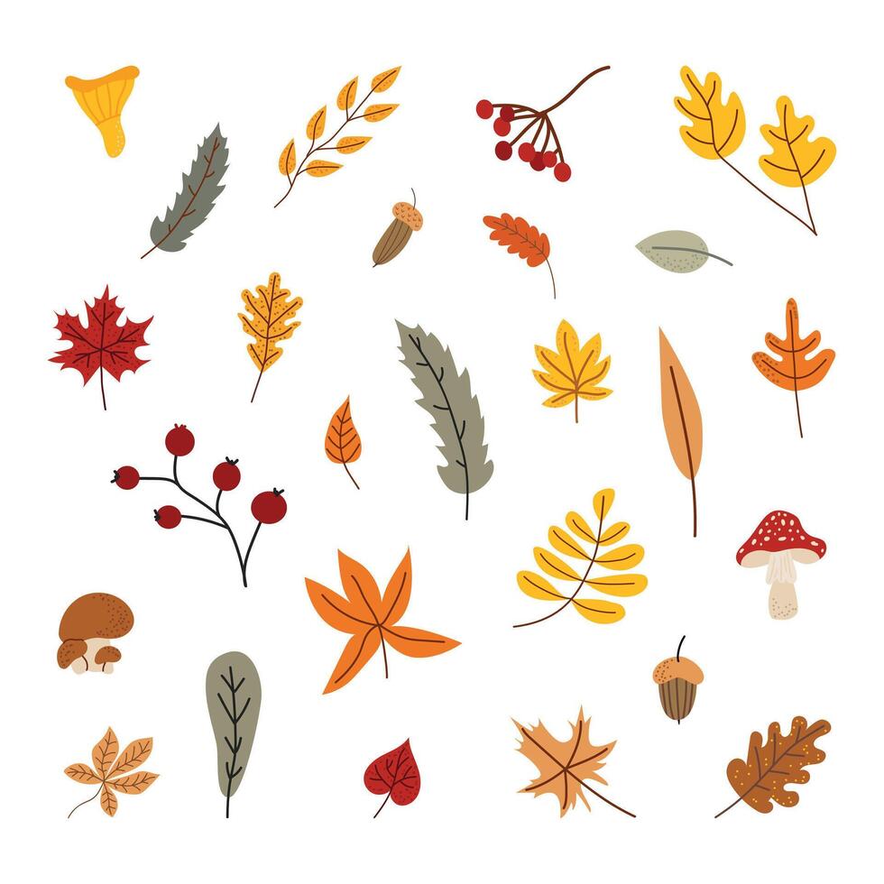 Minimalistic set of fall leaves. Fall season design for banners, posters, invitations. Colorful flat illustration isolated on white background. vector