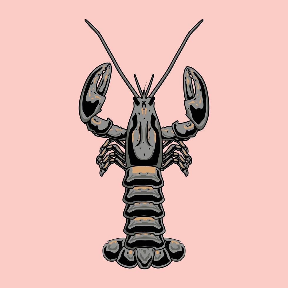 Vibrant Shrimp Illustrations for Creative Projects vector