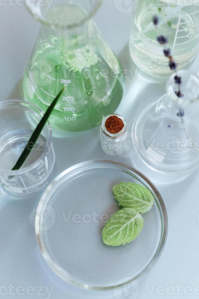 Various bottles on table in laboratory photo