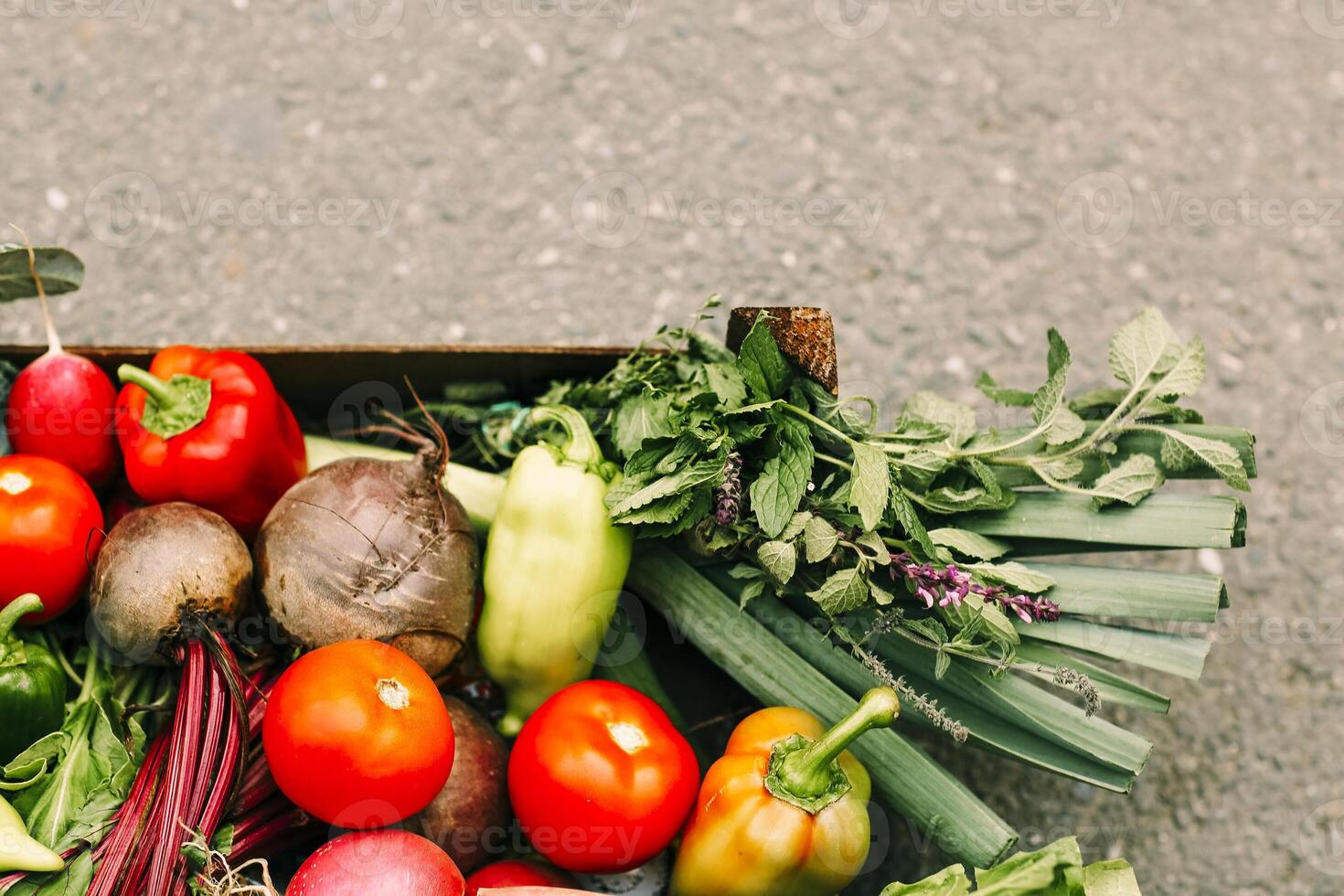 Pile of assorted vegetables in box photo