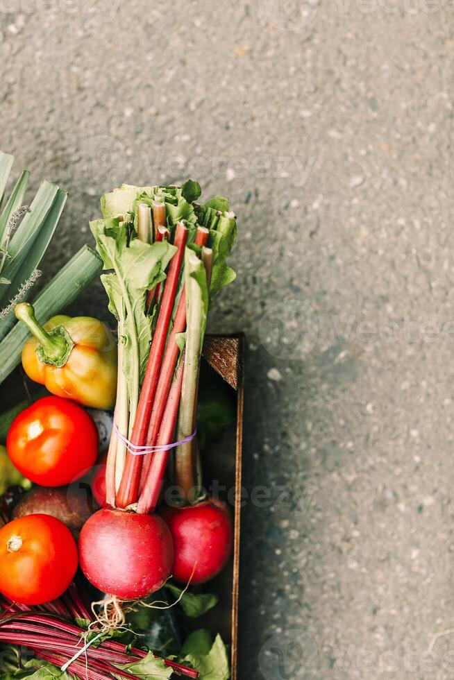 Pile of assorted vegetables in box photo