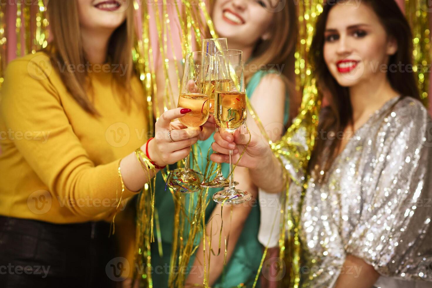 Women proposing toast during party photo