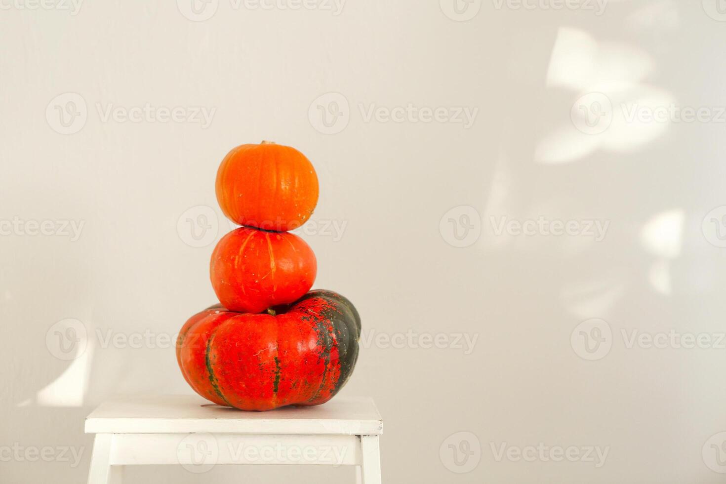 Three pumpkins on a light background, the pumpkins vegetables photo