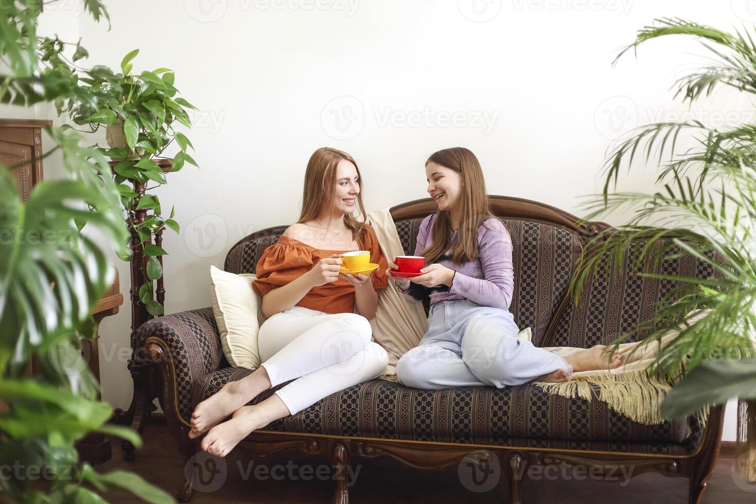 Women having tea on settee and chatting photo