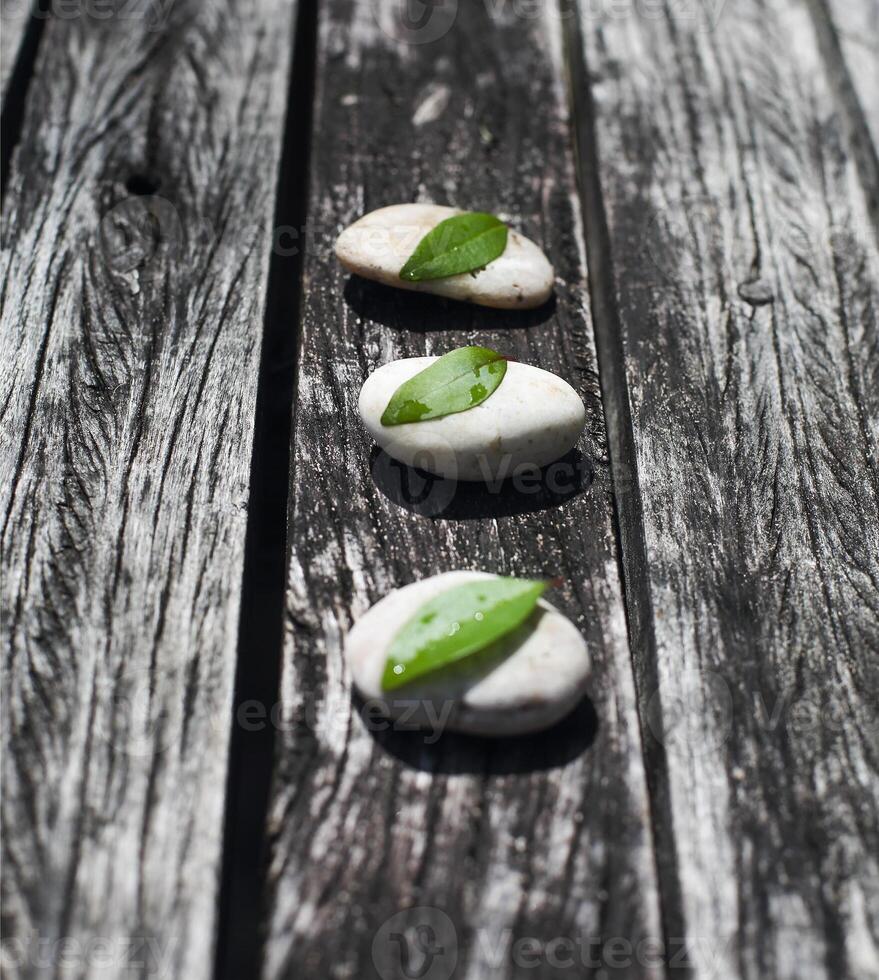 Zen wooden background with grey stones and green leaves photo