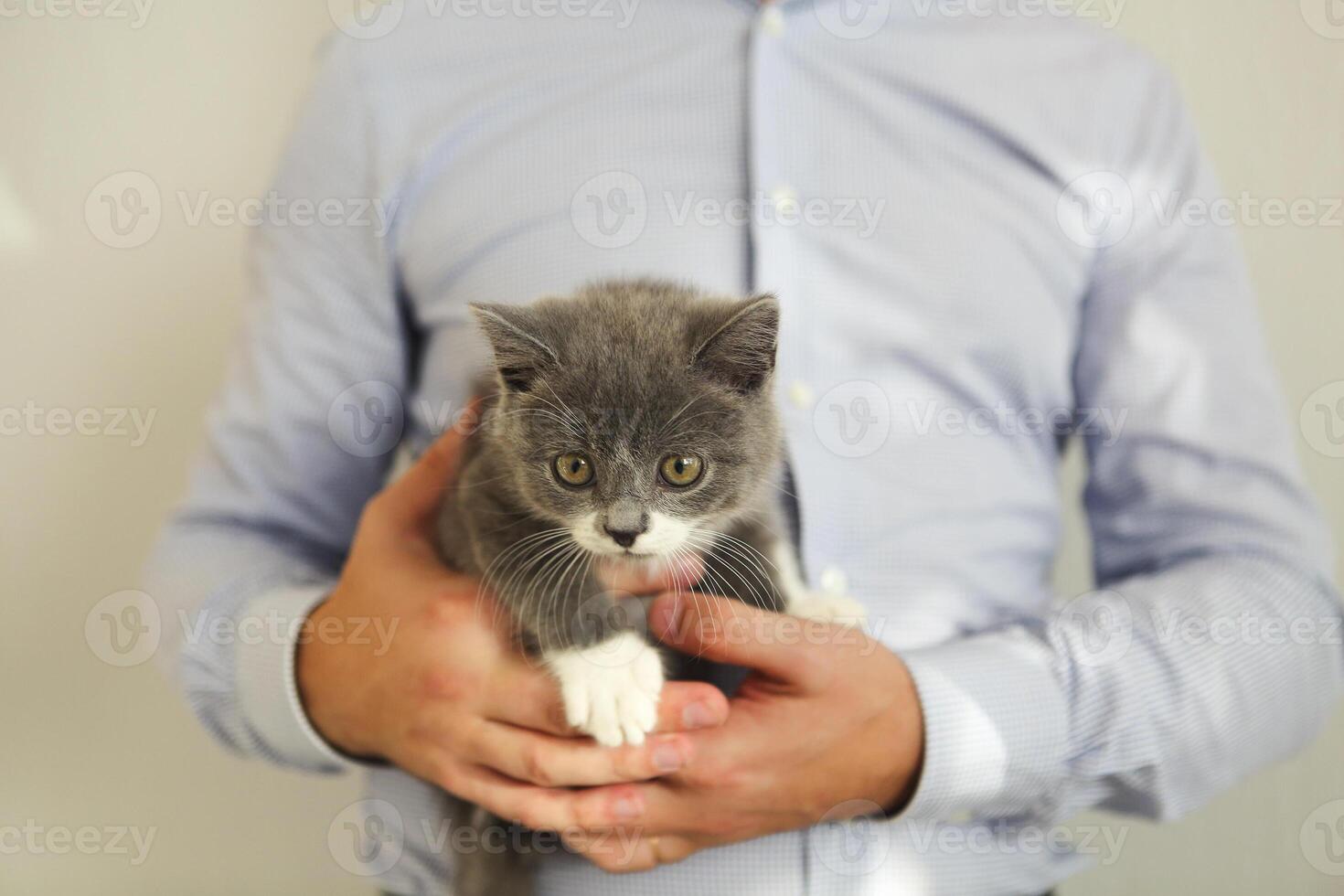 Man playing with the kitten photo