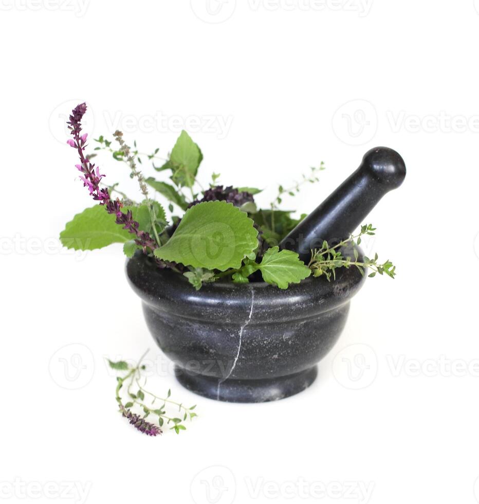Herbs and pestle in mortar photo