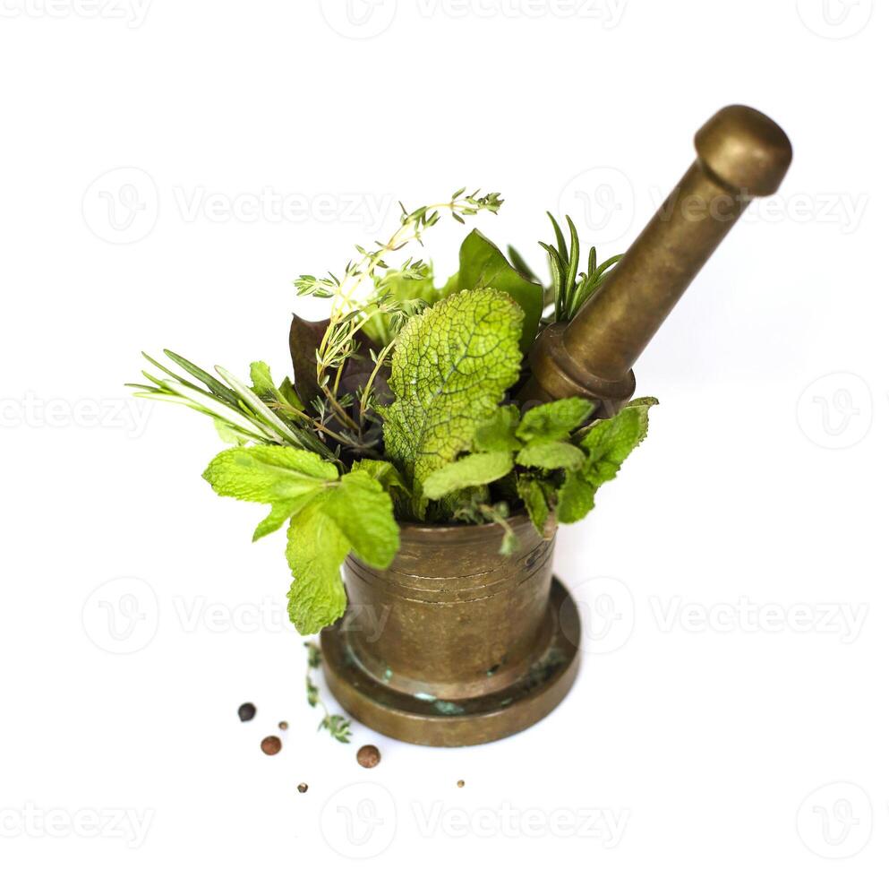 Herbs and pestle in mortar photo