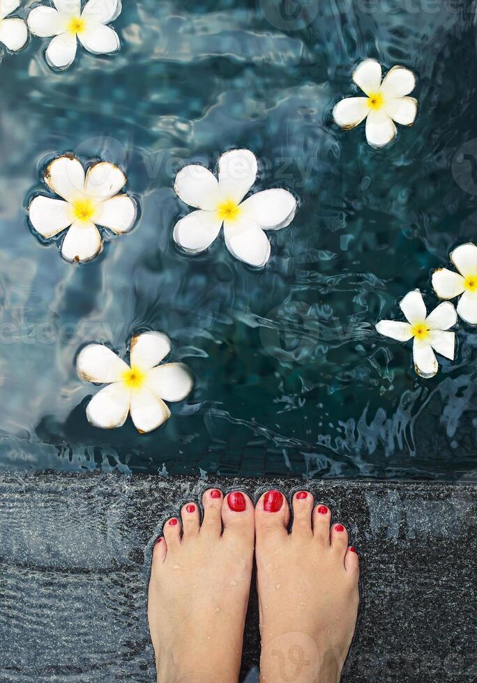 Beautiful female feet in swimming pool with white frangipani photo