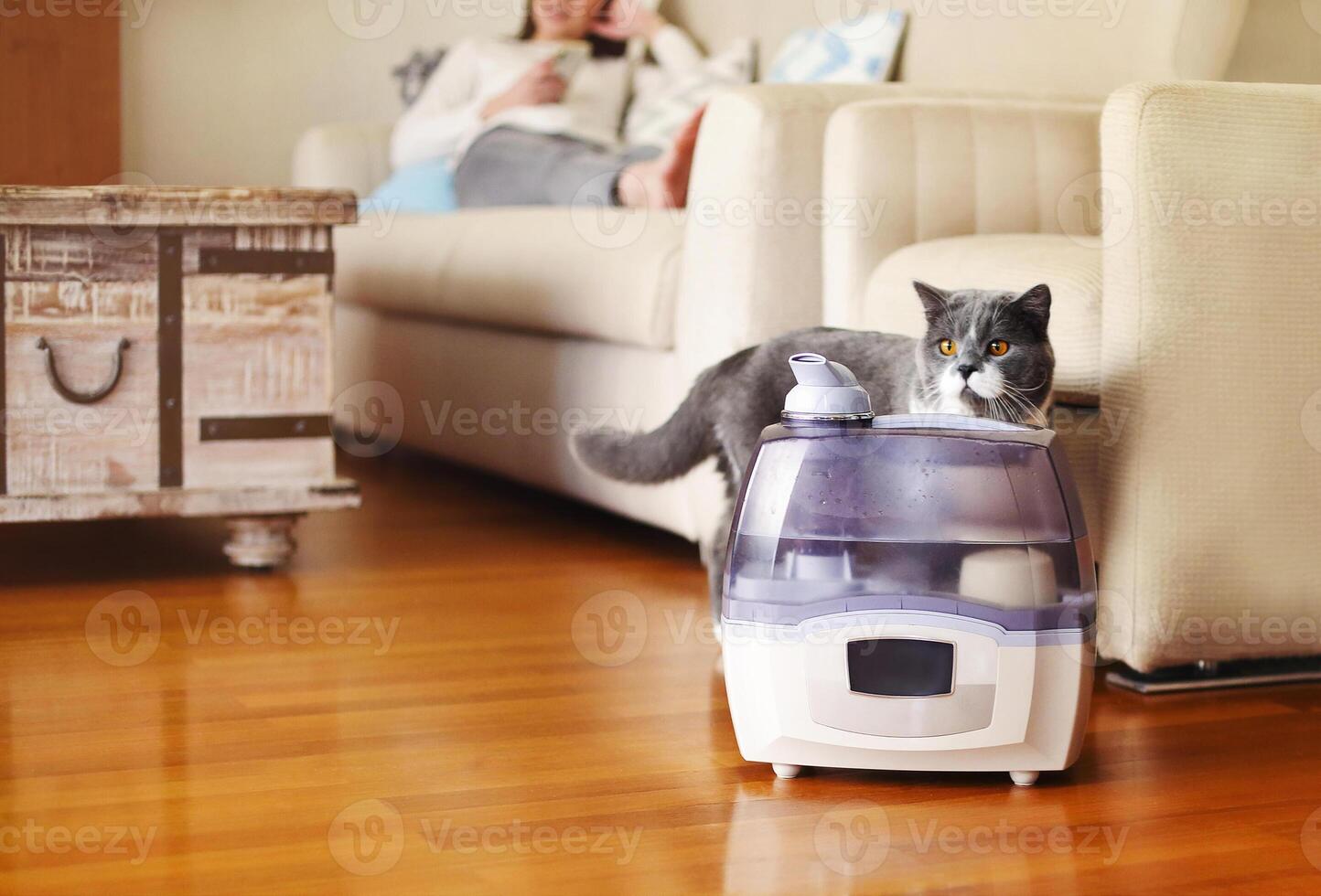 Cute cat crawling behind humidifier photo