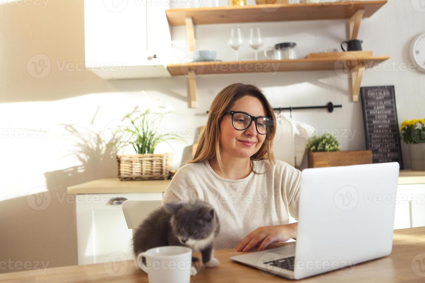 Attractive smiling woman working with little adorable kitten photo
