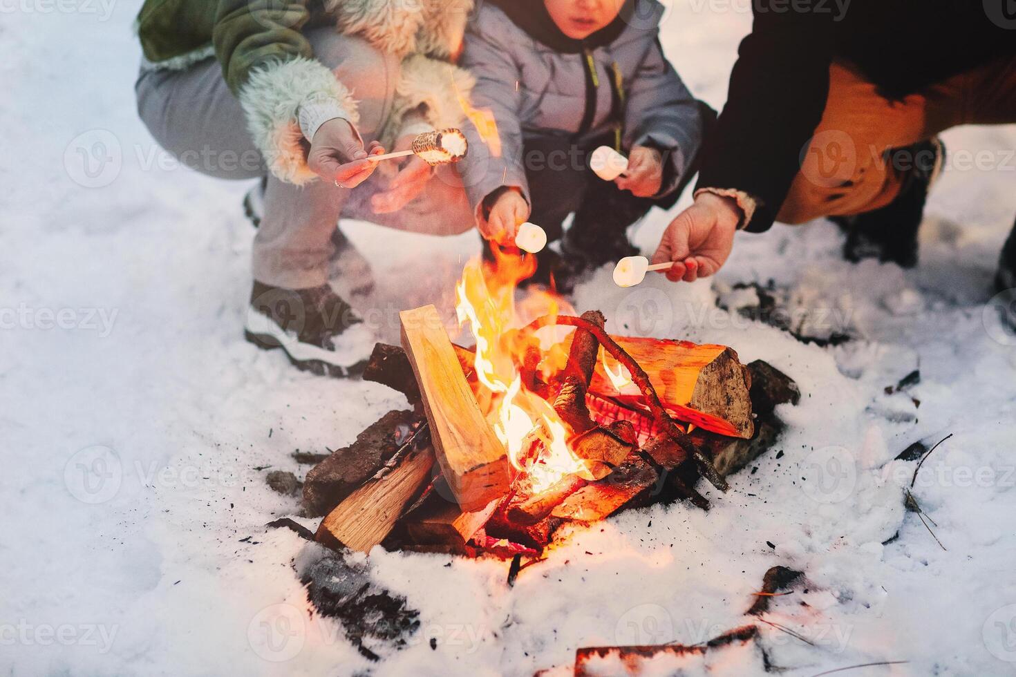 Crop family frying marshmallows over fire in winter photo