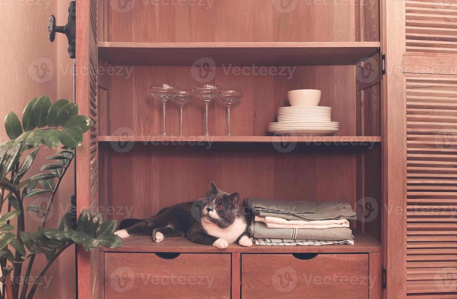Kitchen cupboard with disheslike plates, tableclothes and glasses photo