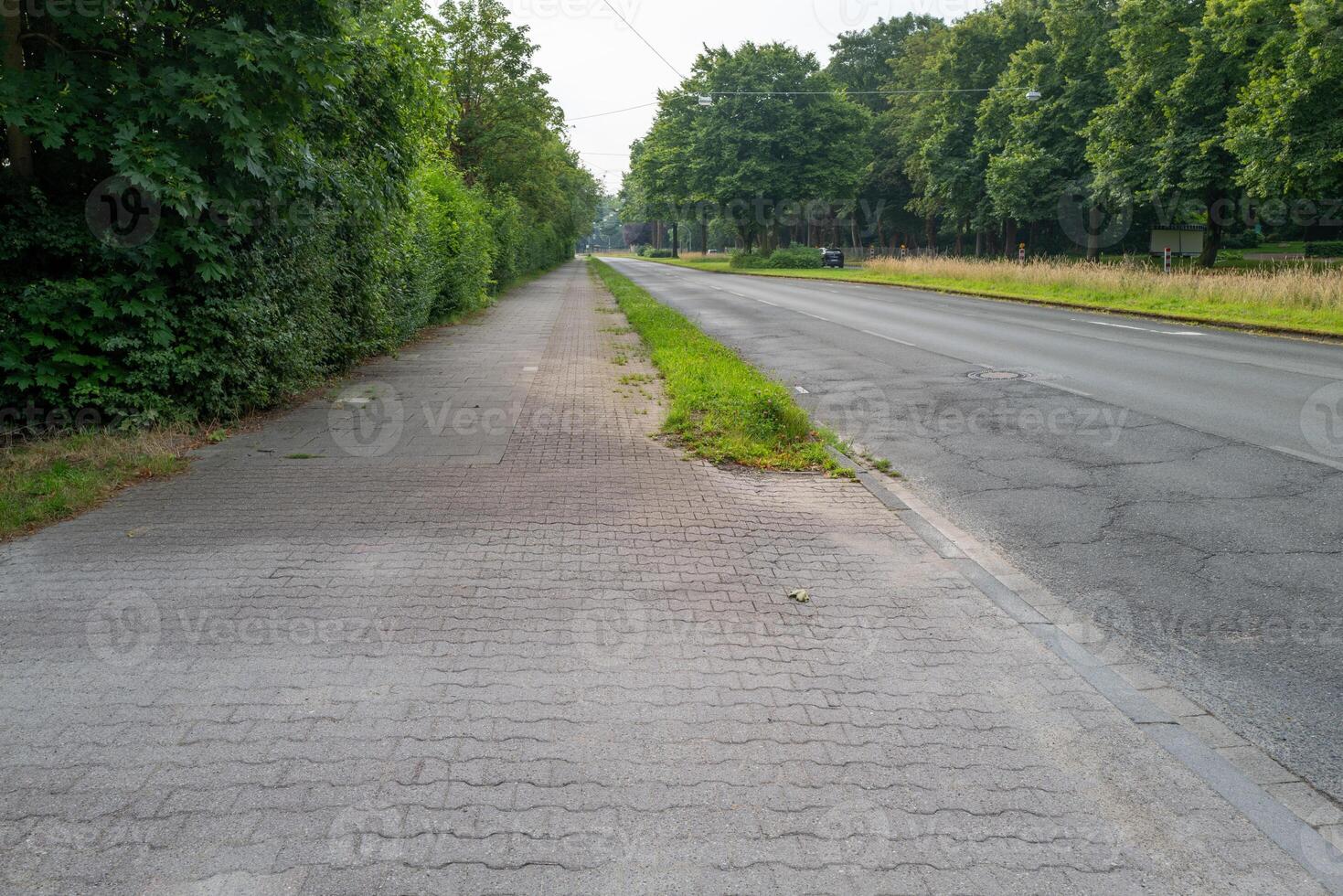 Empty asphalt road with pavement and grass verge photo