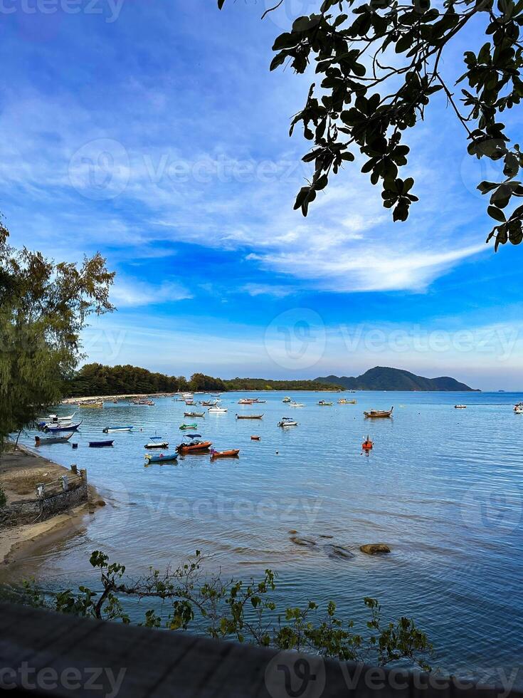 Scenic View of Boats in a Serene Tropical Bay photo