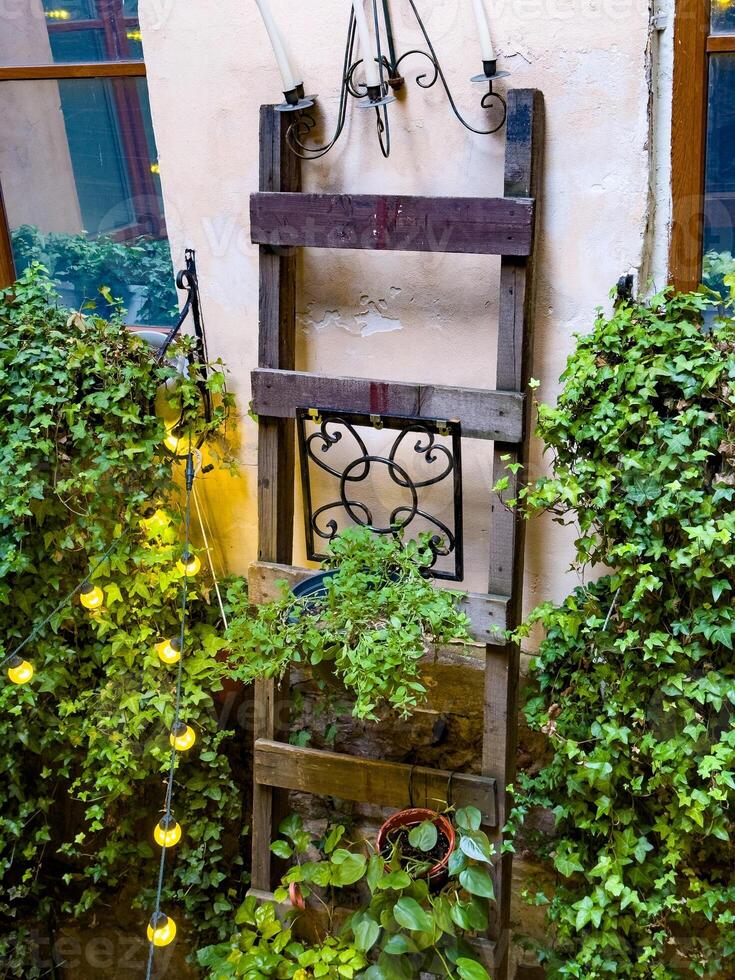 Charming Cafe Corner with Ivy and Decorative Wall Tiles photo