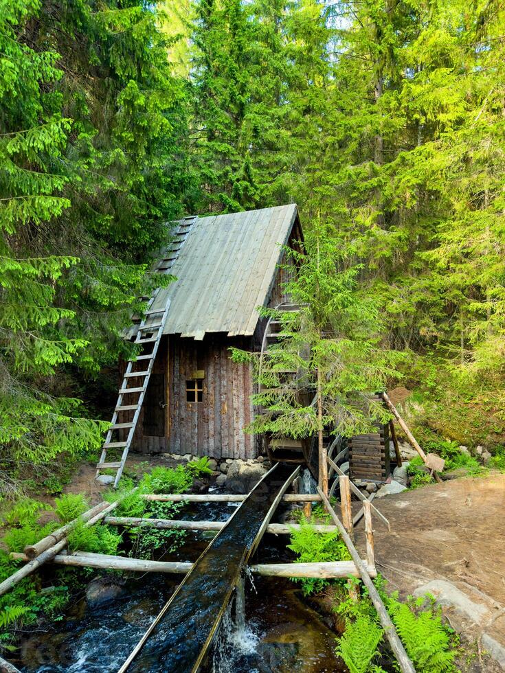 A charming image of a rustic watermill nestled in a lush green forest. The wooden structure and flowing stream create a picturesque scene, ideal for themes of nature, history, and rural life. photo