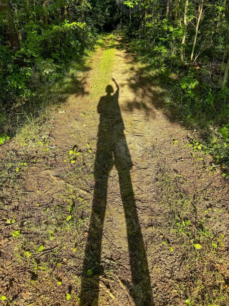 The shadow of a woman on the grass in the forest . High quality photo