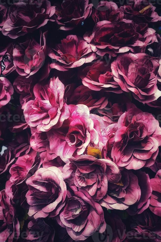 decorative delights from vibrant purple flower accents photo