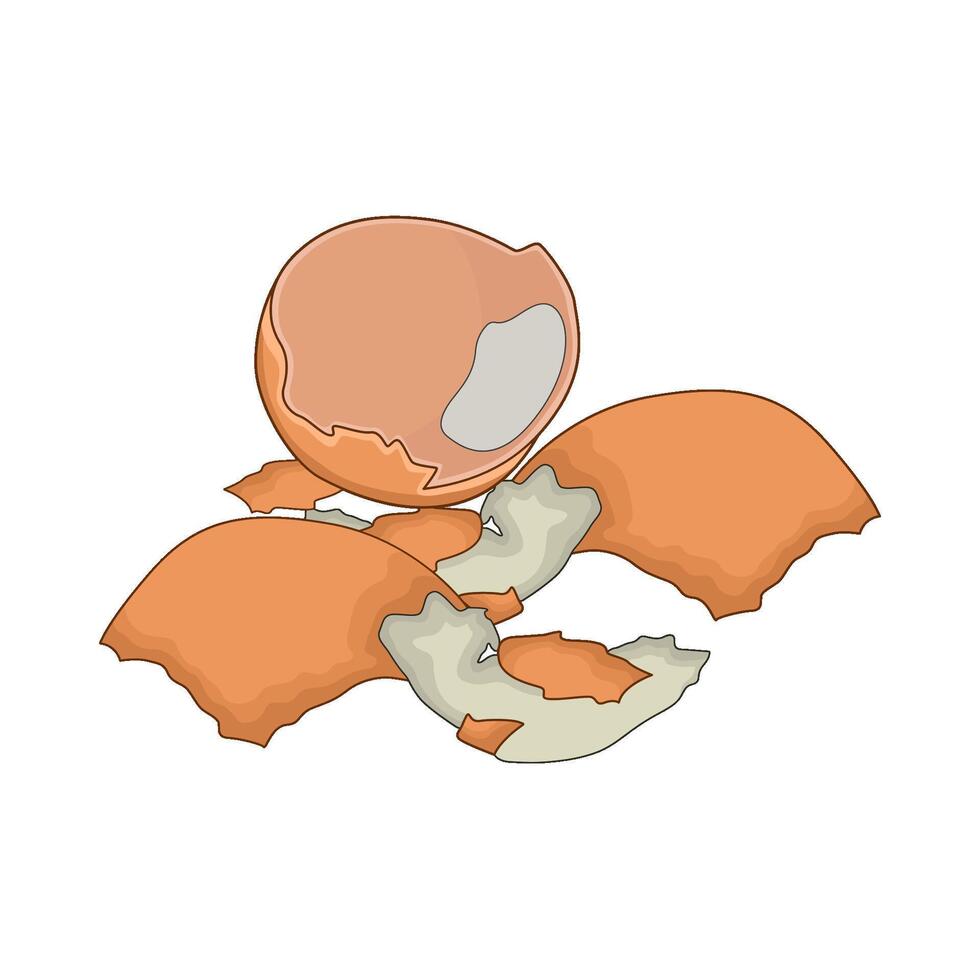 illustration of eggshell vector
