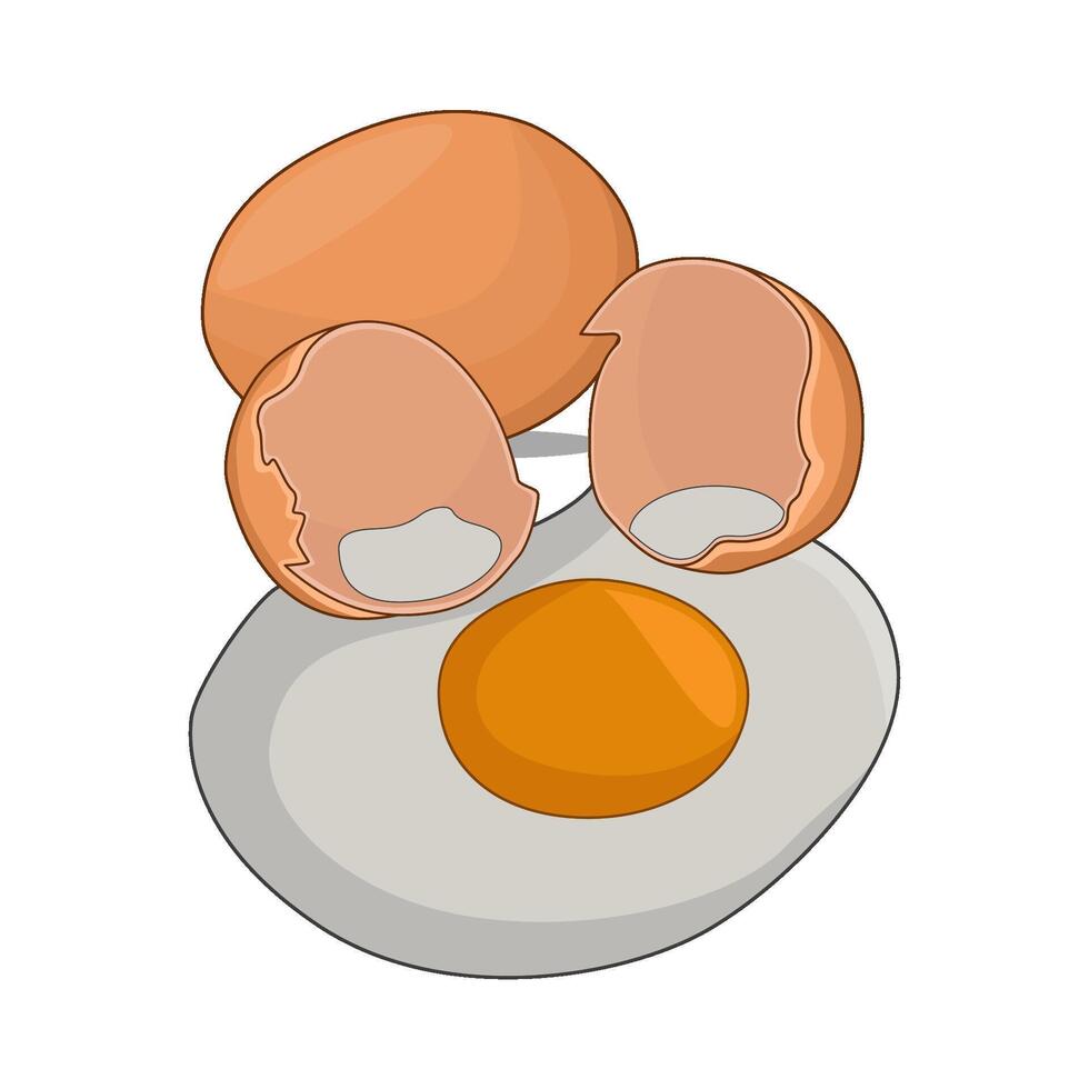 illustration of broken egg vector