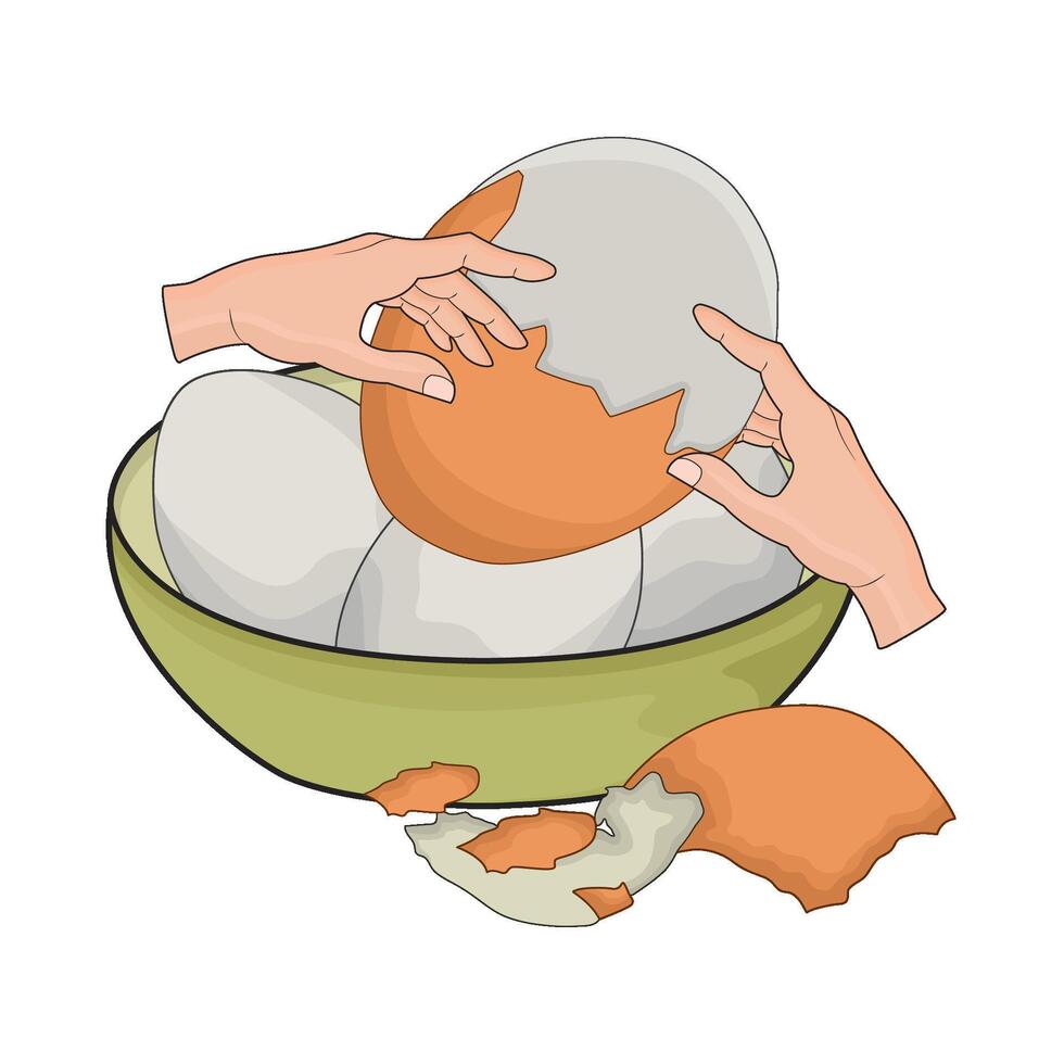 illustration of boiled egg vector