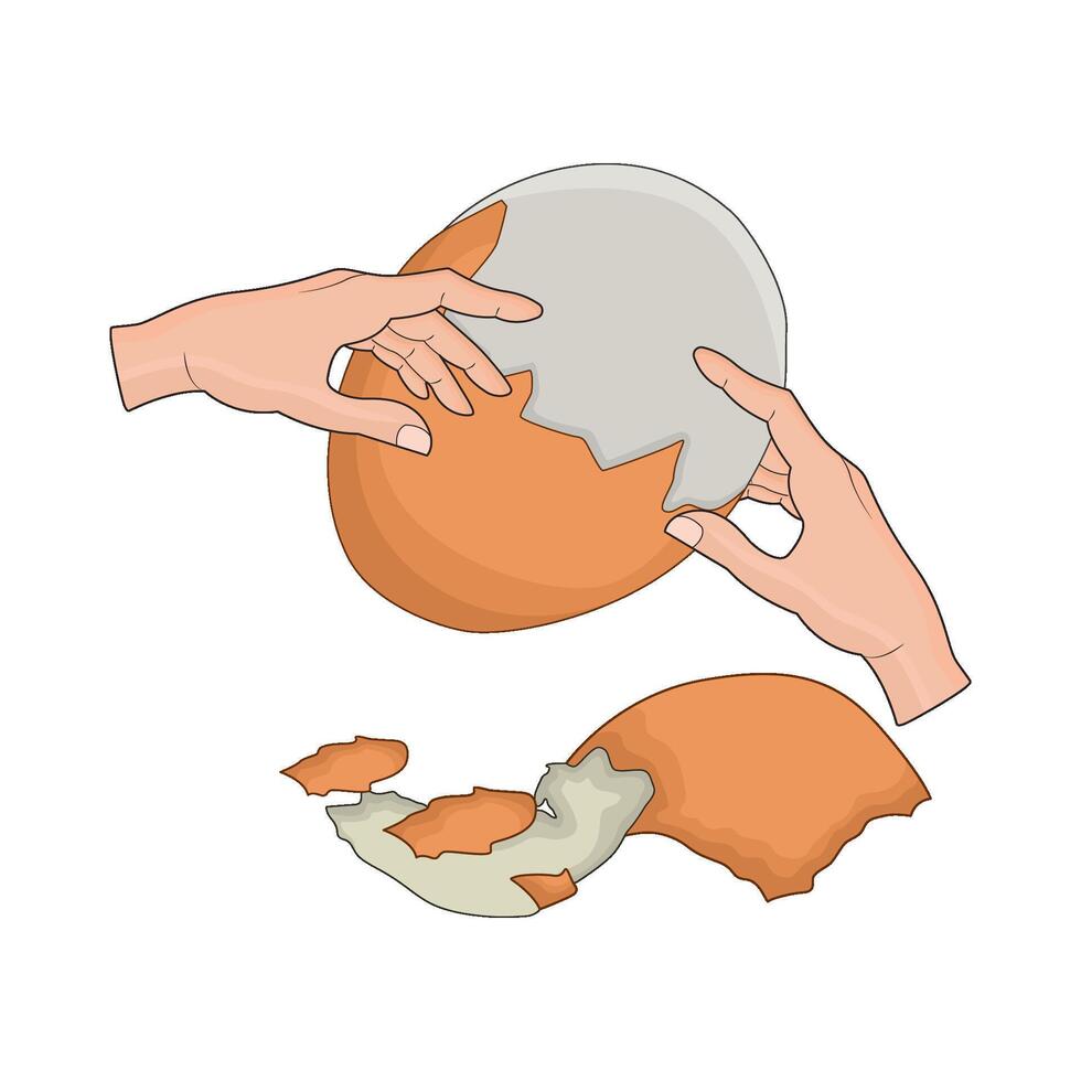 illustration of boiled egg vector