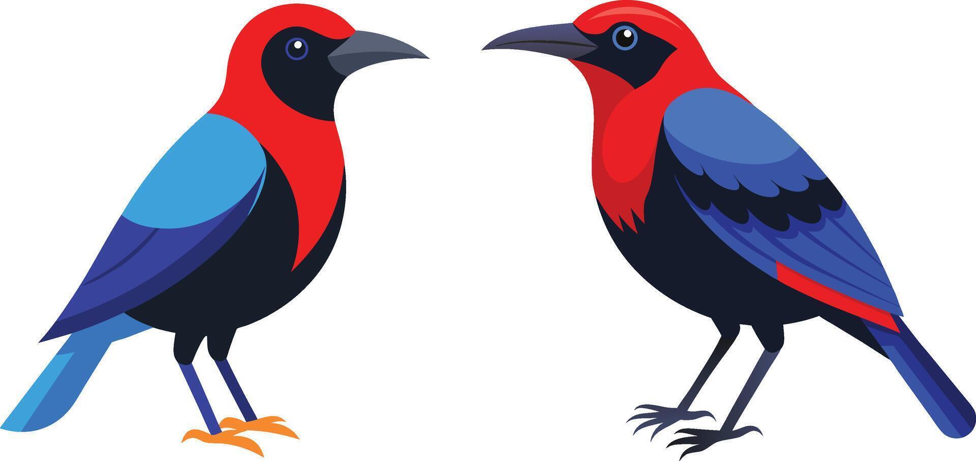 a beautiful bird Red legged Honeycreeper vector