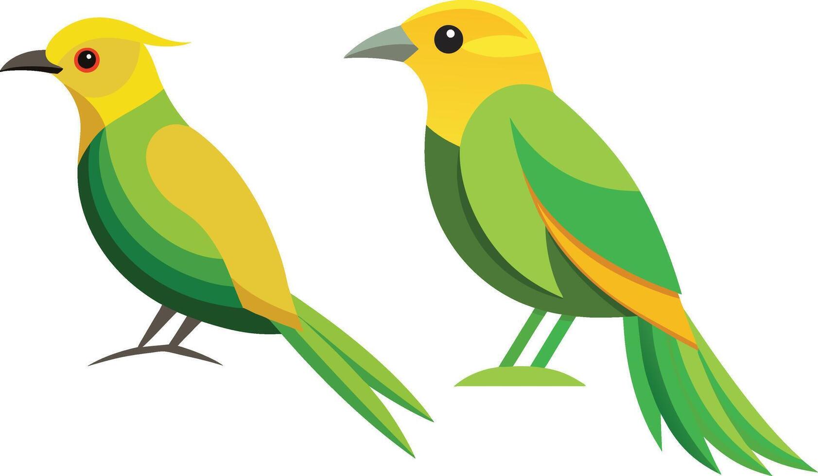 A beautiful bird Golden fronted Leafbird. art and illustration of birds. vector