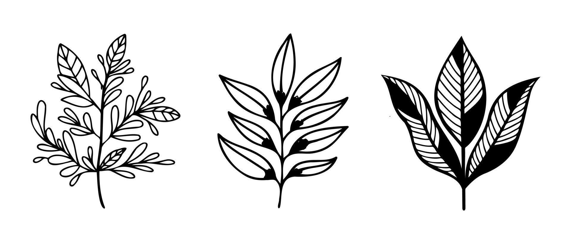 Hand drawn design floral elements vector