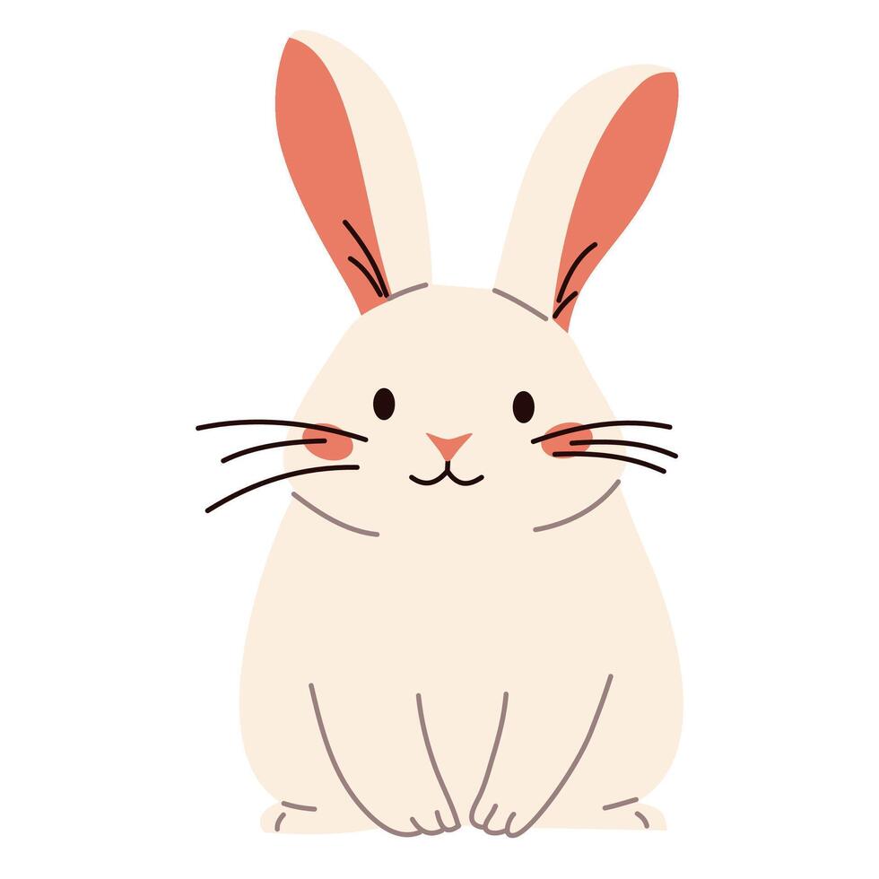 Flat illustration. Domestic animals from a farm. Cute rabbit on white background vector