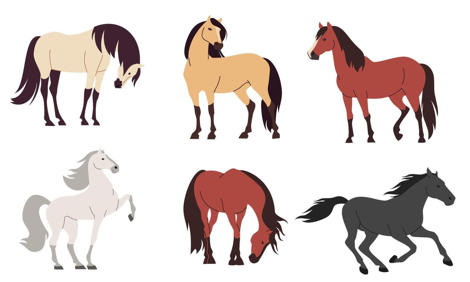 Set of flat illustrations on white background. Horses of different colors and breeds vector