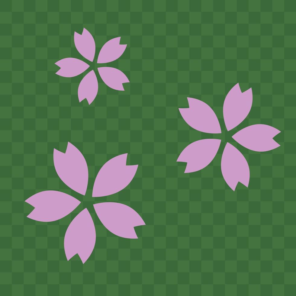 Cherry blossoms isolated on a green vector