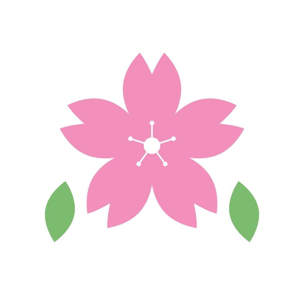 Cherry blossom and green leaves. vector